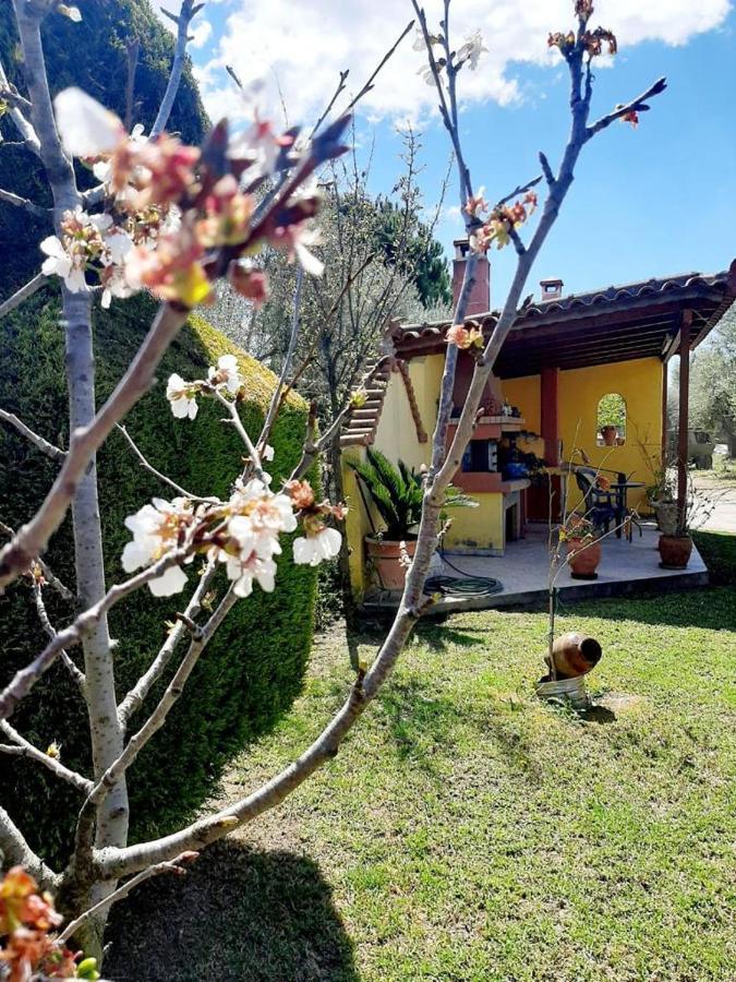 Vasiliki'S House Zacharo , 27054 , Ilias Leilighet Eksteriør bilde